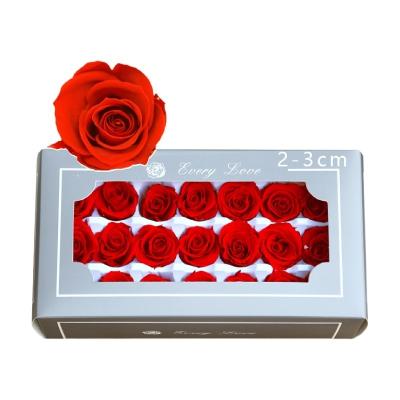 China Wholesaler A Grade 2-3cm Time Life 3-5 Years Preserved Immortal Roses From Yunnan China for sale