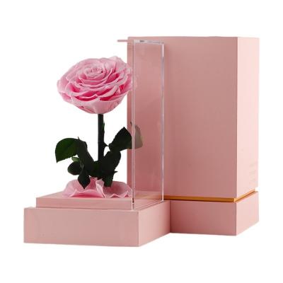 China Real Natural Preserved Flowers Rose Plants Flowers Decorative Beauty And Beast Stabilized Rose Preserved Stem Rose In Acrylic Box for sale