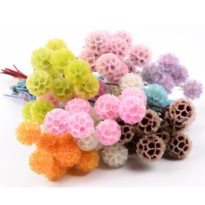 China 2022 Hottest Dry Flower Durable Windmill Fruit For Home Decoration for sale