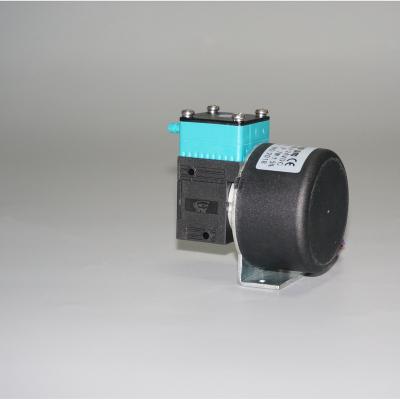 China Mini External Water Diaphragm Water Pump 400ml/min BLDC 12V Controller for sale