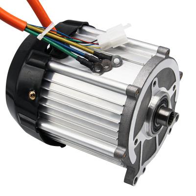 China IP54 New Trend 1000W Electric Car Fan Motor 48 Volt DC Motor For Electric Car Adult for sale