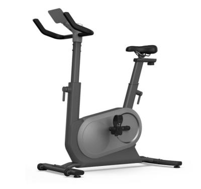 중국 Indoor M agnetic Resistance Gym Exercise Bike Flywheel MG-C05 판매용