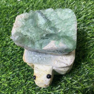 China Wholesale And Retail China Natural Healing Spirit Gift Pet Turtle Fluorite Stone for sale