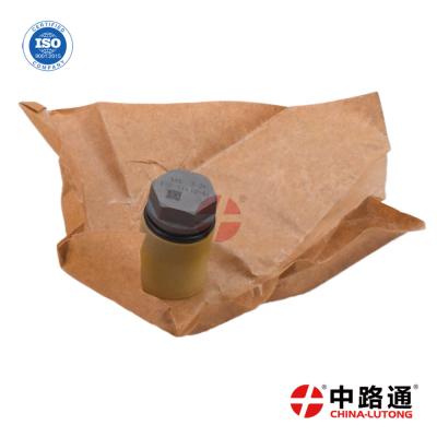 China Common Rail Pressure Limiting Valve 1 110 010 018 Automatic Fuel Pressure Limiting Relief Valve for sale