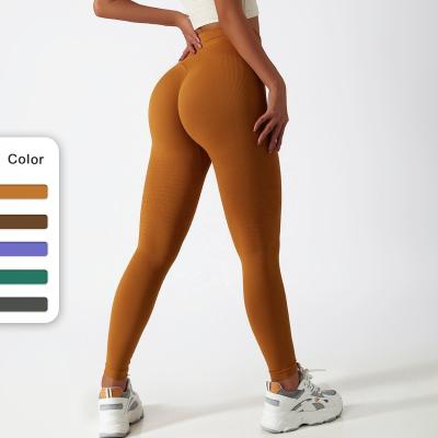 China Nvgtn Breathable Yoga Fitness Seamless Elastic Leggings High Plus High Waist Sports Workout Pants Women for sale