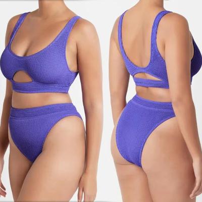 China SUMMER Antibacterial HOT Women's Monokini Monokini Swimwear High Legs Simple Sexy Two-Piece Backless Straps Women Swimwear for sale