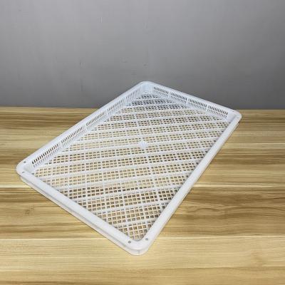 China Newly developed Mesh design stackable Gummy Chocolates plastic drying tray for Confectionery drying en venta