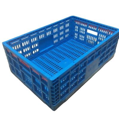 China folding crates plastic vegetable fruits supplier in Qingdao China for sale