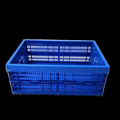 China high quality folding storage plastic crate for tomato for sale