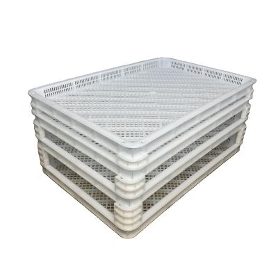 China Food Tray Packaged Supermarket Meat Plastic Food Tray for sale