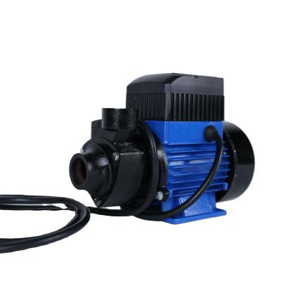 China Family Homes Portable Solar Vortex Surface Water Pump Bldc Motor No Need Controller Built-in Controller for sale