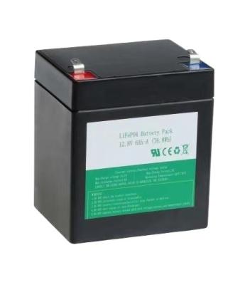 China Home Appliances Lithium Iron Phosphate (LiFePO4) Battery for sale