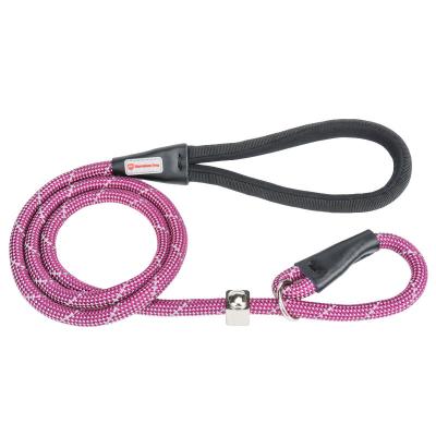 China Home Best Fashion Padded Adjustable Thoughtful Dog Walking Magic P Chain Leash Nylon Pet Rope for sale