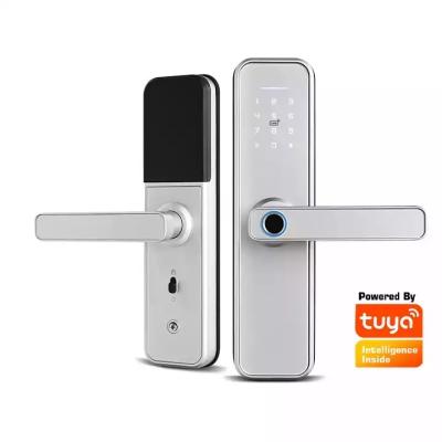 China Smart Tuya Home Security WiFi App Waterproof Door Lock for Front Door for sale