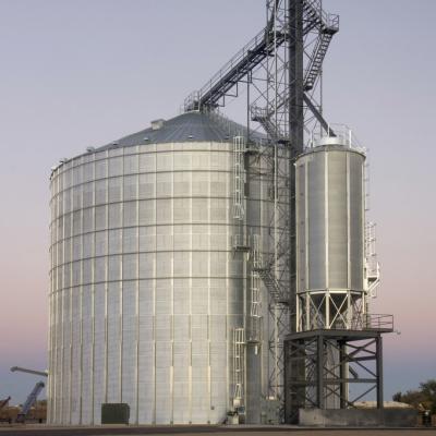 China Port Grain Silos 1000/2000/5000/8000/10000 T Galvanized Steel Bolt Assembled Silos for sale