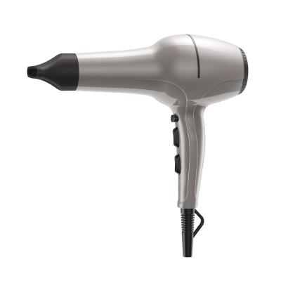 China High Powerful Salon Hair Dryer High Quality Ionic Electric Professional Best Hair Dryer Supplier for sale