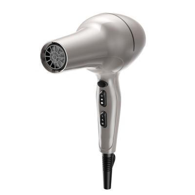 China Best Professional Ionic Hair Dryer (WT-8600) for sale