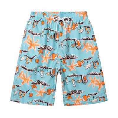 China Anti-Wrinkle OEM Waterproof Beachwear Men's Casual Sublimation Printing Beach Shorts Men's Quick Dry Swimwear for sale