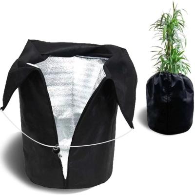 China Nonwoven Plant Cover Bag Waterproof Outdoor Winter Patio Roots Bags For Winter Antifreeze for sale