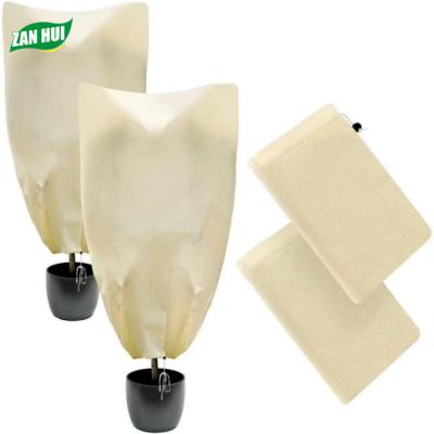 China Breathable Outdoor Patio Winter Plant Cover Nonwoven Bag For Winter Antifreeze for sale