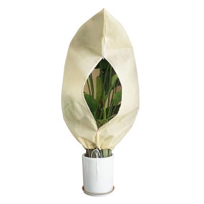 China Breathable Air Permeability Biodegradable Nonwoven Plant Protected Cover For Outdoor Garden Pot for sale