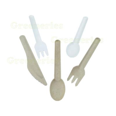 China Eco-Friendly Disposable Restaurant Fork Spoon Knife Heavy Duty Bagasse Utensil Cutlery Set For Party for sale