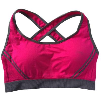 China Fitness 100% Sleeveless Plus Size High Quality Cotton QUICK DRY Empty Logo Yoga Bra For Women Custom Made for sale