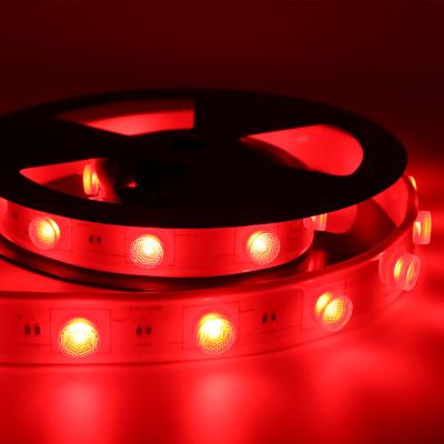 China Hot Sale Architecture Indoor/Outdoor Decoration Led Strip Light IP68 Outdoor And 5050 RGB Waterproof Indoor Flexible Seal for sale