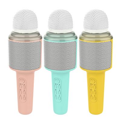 China New Economic Popular Wireless Karaoke Microphone Fm Radio Office Party Speaker Singing KTV Microphone for sale