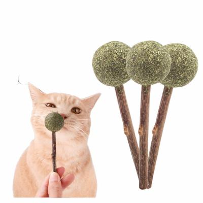 China Viable Interactive Catnip Toy Set - Includes Ball and Plush Toys for Cats - AliExpress - 11.11_Double 11_Singles Day for sale