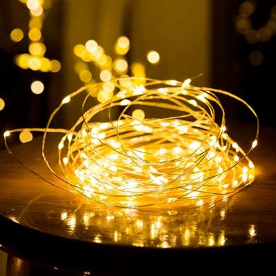 China / 9 Colors Waterproof Indoor Outdoor Christmas Lights Christmas Holiday Light LED String Light 10m 20M 30M 50M 100M AC220V for sale