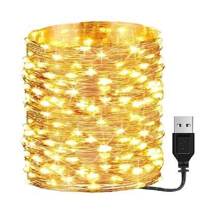 China / Hot sale Christmas lights battery cable light for sale