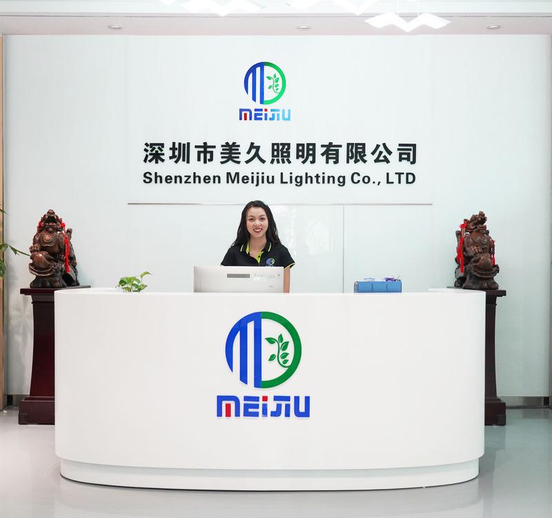 Verified China supplier - Shenzhen Meijiu Lighting Co., Ltd.