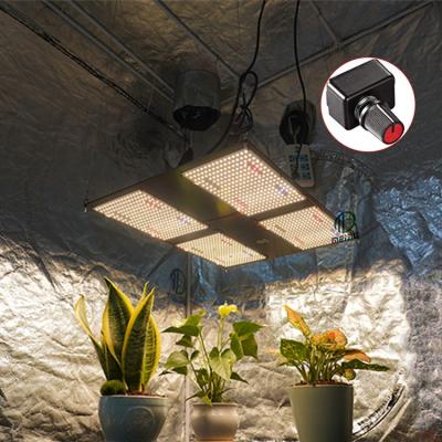 China Starting Big Meijiu Crop Best Grow Led, US Popular CA 480W IR LM301B UV Greenhouse Led Grow Light Kits for sale