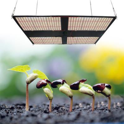 China FLOWER Meijiu Led To Grow Samsung Lm301b 480W Dimmable Light Weight Free Shipping Waterproof Indoor Plant Full for sale