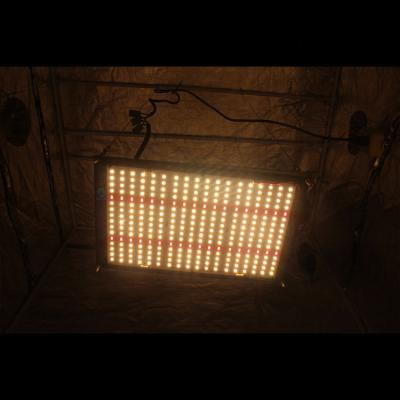 China FLOWER 2021 MEIJIU Greenhouse Indoor , Fast Shipping 120W QB288 Lm301H 4000K Prewired Red Led Grow Light for sale