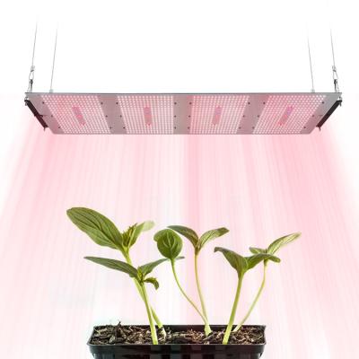 China Seed Starting Meijiu Indoor Led Grow IR UV 320W Led Grow Light Lm301H,Hot Sale Horticulture Kit Samsung Qb Lm 301B for sale