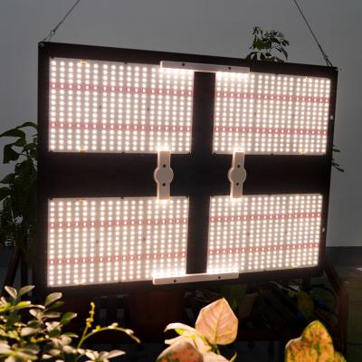 China Starting Light Meijiu LM301H 480W 550 V3 QB288 Red 660nm Grow Led,2021Hot Sale Indoor Factory Led Grow Light for sale