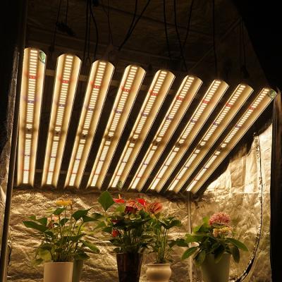 China Meijiu Powerful Hydroponic Seed Starting Grow Led Light , Full Samsung LM301B LM301H IR UV Led Grow Light Kit Meijiu for sale