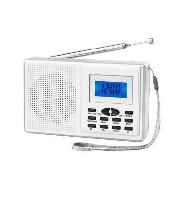 China New Design Portable Home Radio Manufacturing Design LCD Display Radio FM MW Switch Bands for sale