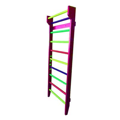 China GIBBON 2019 New Trend Gym Fitness Equipment Safe Pull Up Bar Wall, Swedish Product High Quality Home Gym Ladder for sale