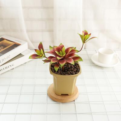 China Transient Realistic Flower Succulents Home Garden Decor Artificial Potted Desktop Live Plastic Home Plants for sale