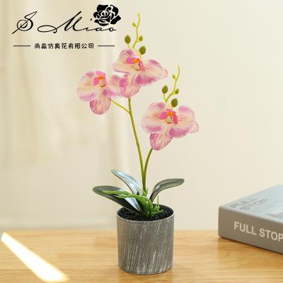 China 2022 Wholesale Transitional High Quantity Home Decoration Flowers Real Touch Plastic Artificial Flower for sale