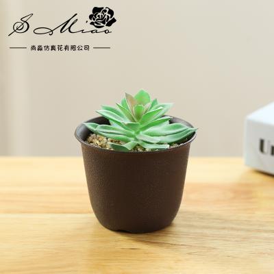 China Factory Transitional High Quality Succulent Pot Small Plastic Cylindrical Flower Pot Container for sale