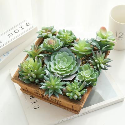 China Mini Faux Green Plant Garden Artificial Flower Arrangement in Landscape Decoration of Various Transitional Succulent Plants for sale