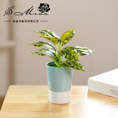 China Transitional plastic simulated artificial bonsai potted green plants two color melamine pot green plant bonsai small for sale