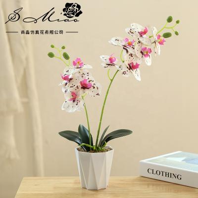 China Wholesale Plastic Artificial Orchids and White Plastic Pot Bonsai Desktop Decoration for sale