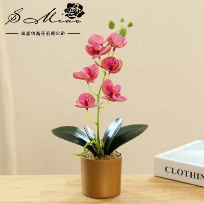 China Creative home decoration of new plastic artificial orchids and gold pot plastic bonsai trees for sale