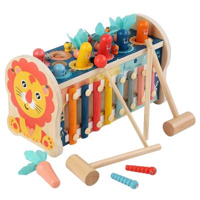 China As Shown Baby Toys 3D Puzzle Early Childhood Wooden Pull Carrot Toys Montessori Strawberry Apple Hook Worm Magnetic Game for sale