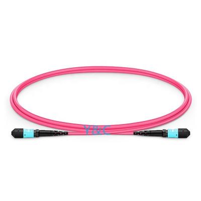 China Factory Direct Fiber 12 MTP (Male) - MTP (Male) 9/125 Fiber Optic Cable MPO/PC/M-FC/UPC-12RB-OM2-0.35M Singlemode Trunk MPO Cable for sale